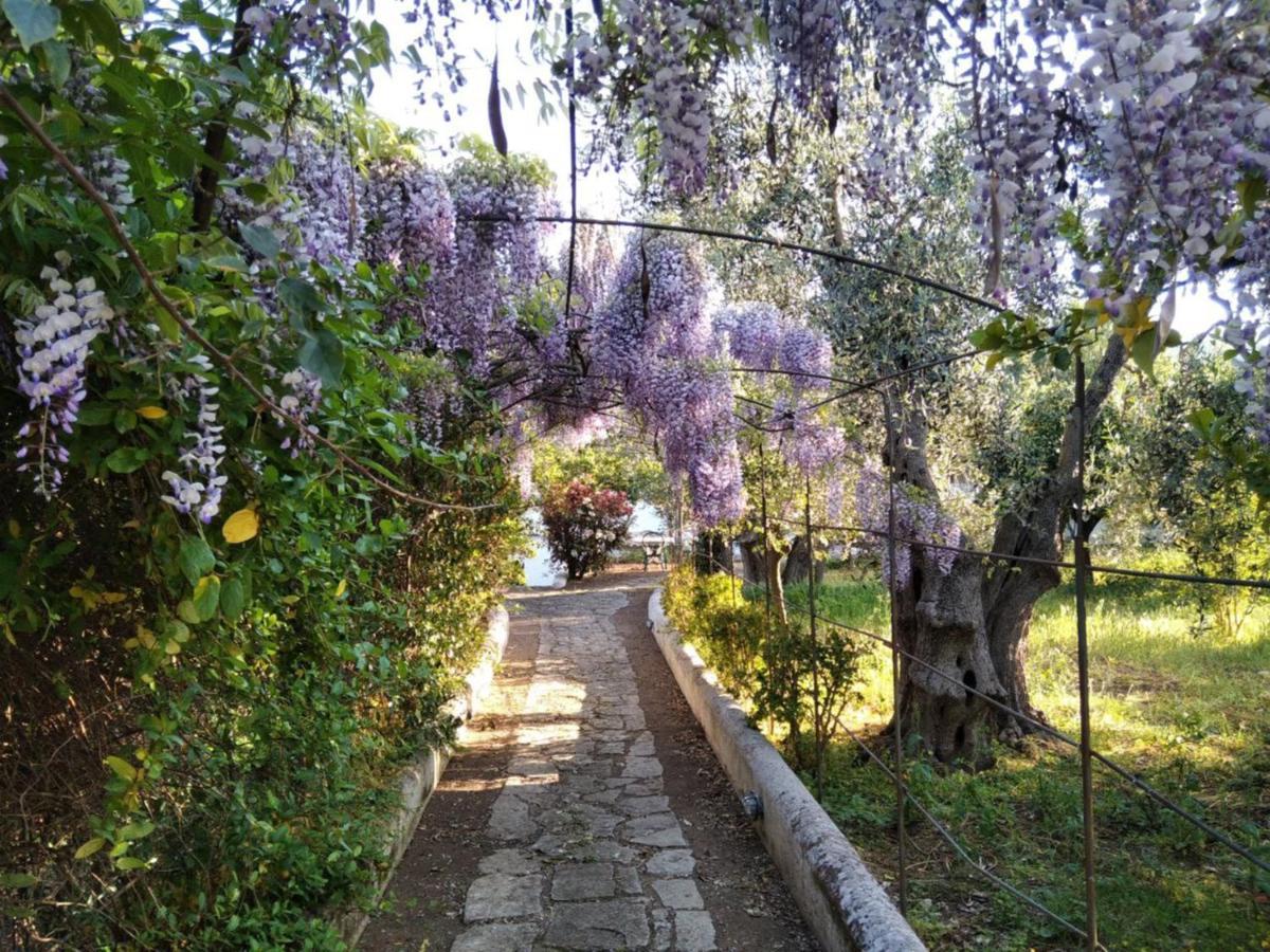 B&B Masseria Liberatore Mattinata Exterior foto