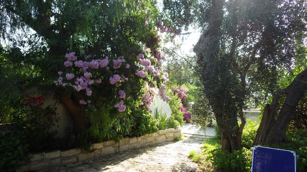 B&B Masseria Liberatore Mattinata Exterior foto