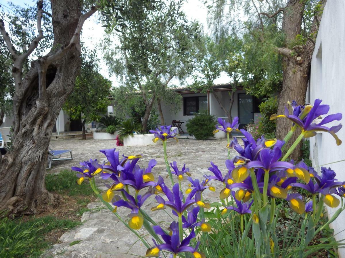 B&B Masseria Liberatore Mattinata Exterior foto