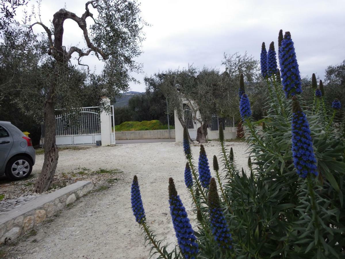 B&B Masseria Liberatore Mattinata Exterior foto